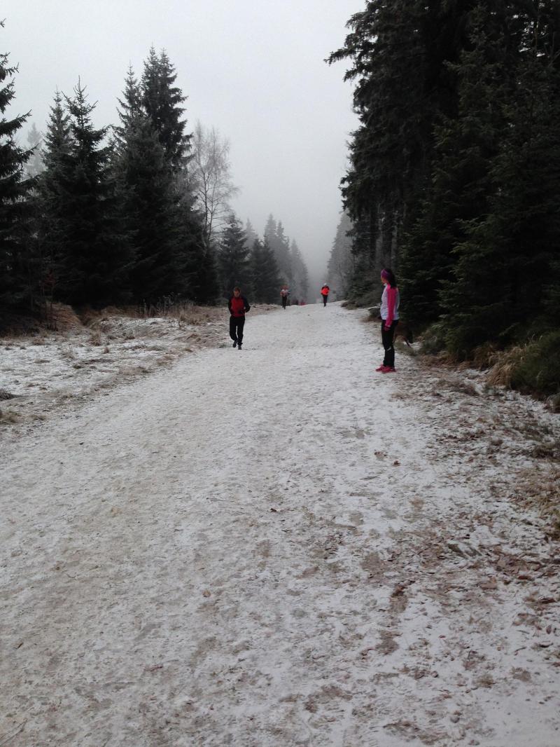 Škola běžkařské techniky (fyzická část) - Krkonoše 2.-6.1.2016